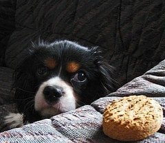 The Science of Self-Control: 6 Ways to Improve Your Willpower Today