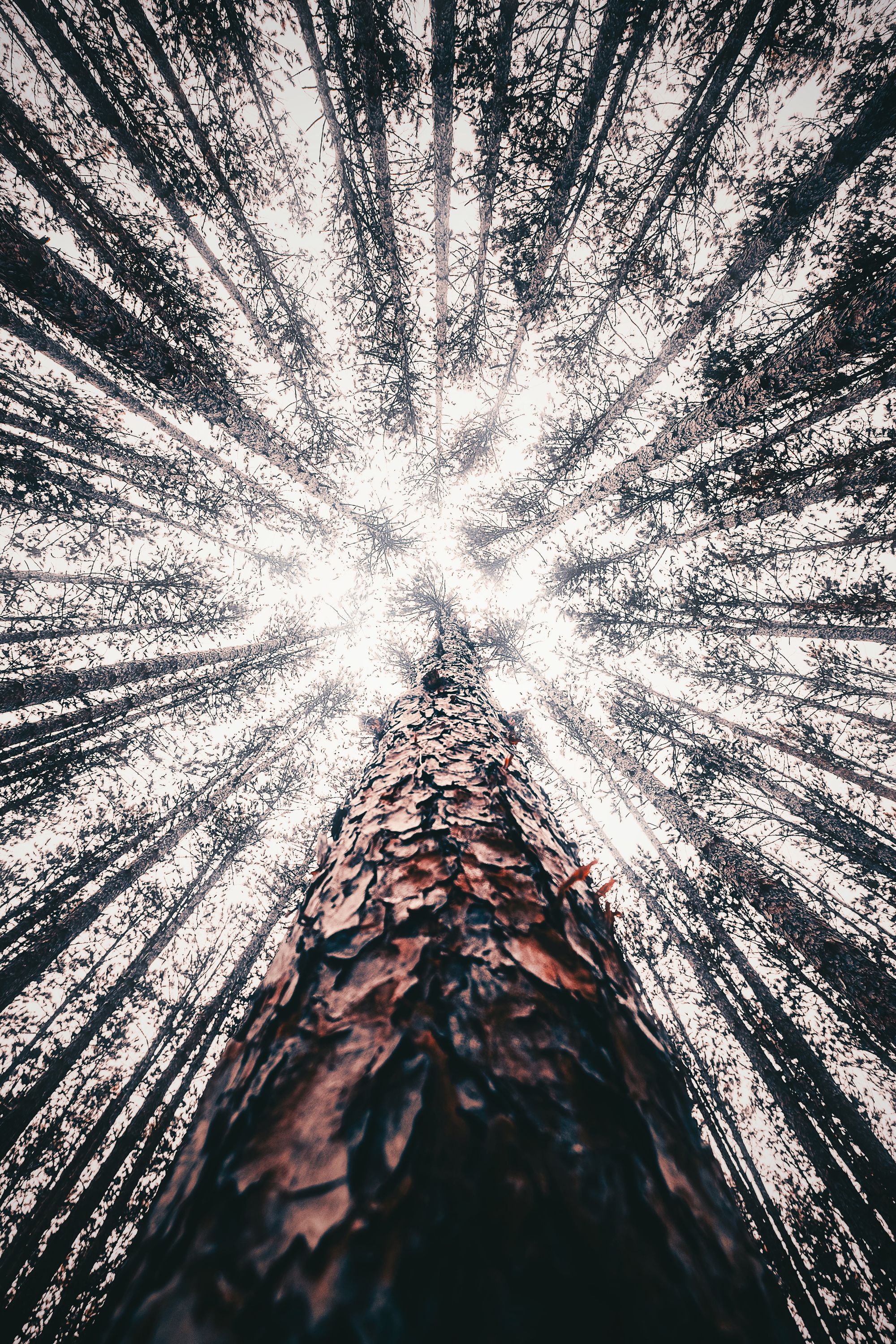 Buffer in Q1 2018: Kicking Off The New Year With Momentum