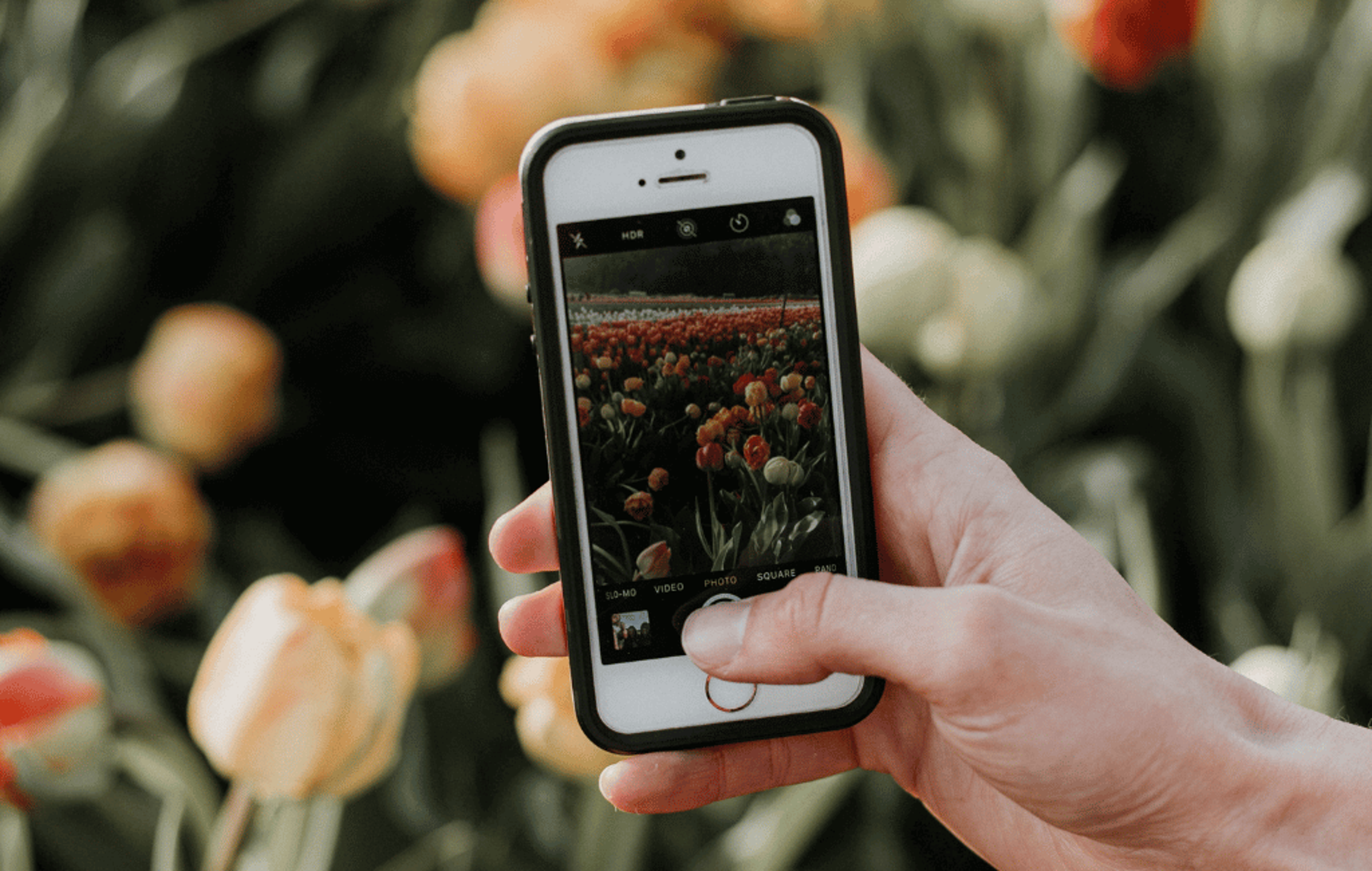The Ultimate Guide to Instagram Growth: 13 Tactics for Getting More Followers on Instagram