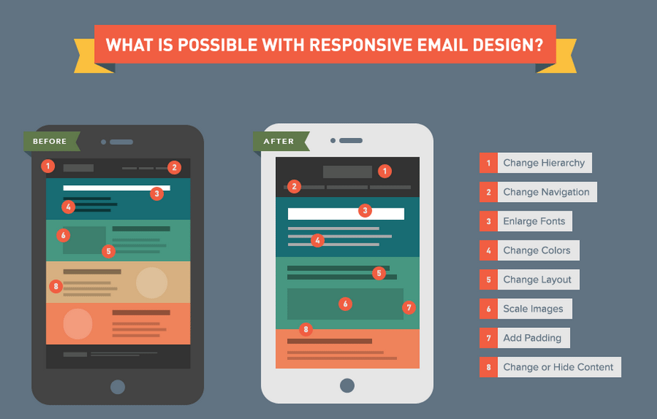 Litmus responsive infographic